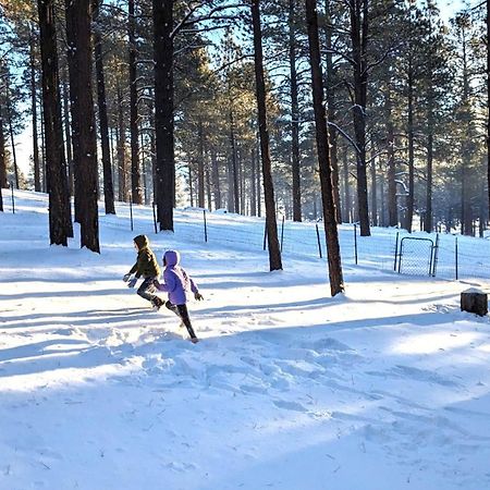 Close To Williams, Flagstaff, Grand Canyon And Sedona Exterior photo