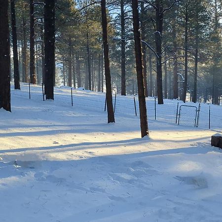 Close To Williams, Flagstaff, Grand Canyon And Sedona Exterior photo